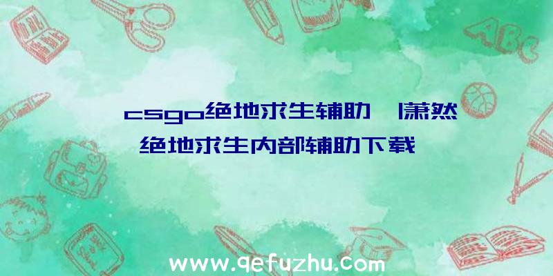 「csgo绝地求生辅助」|萧然绝地求生内部辅助下载